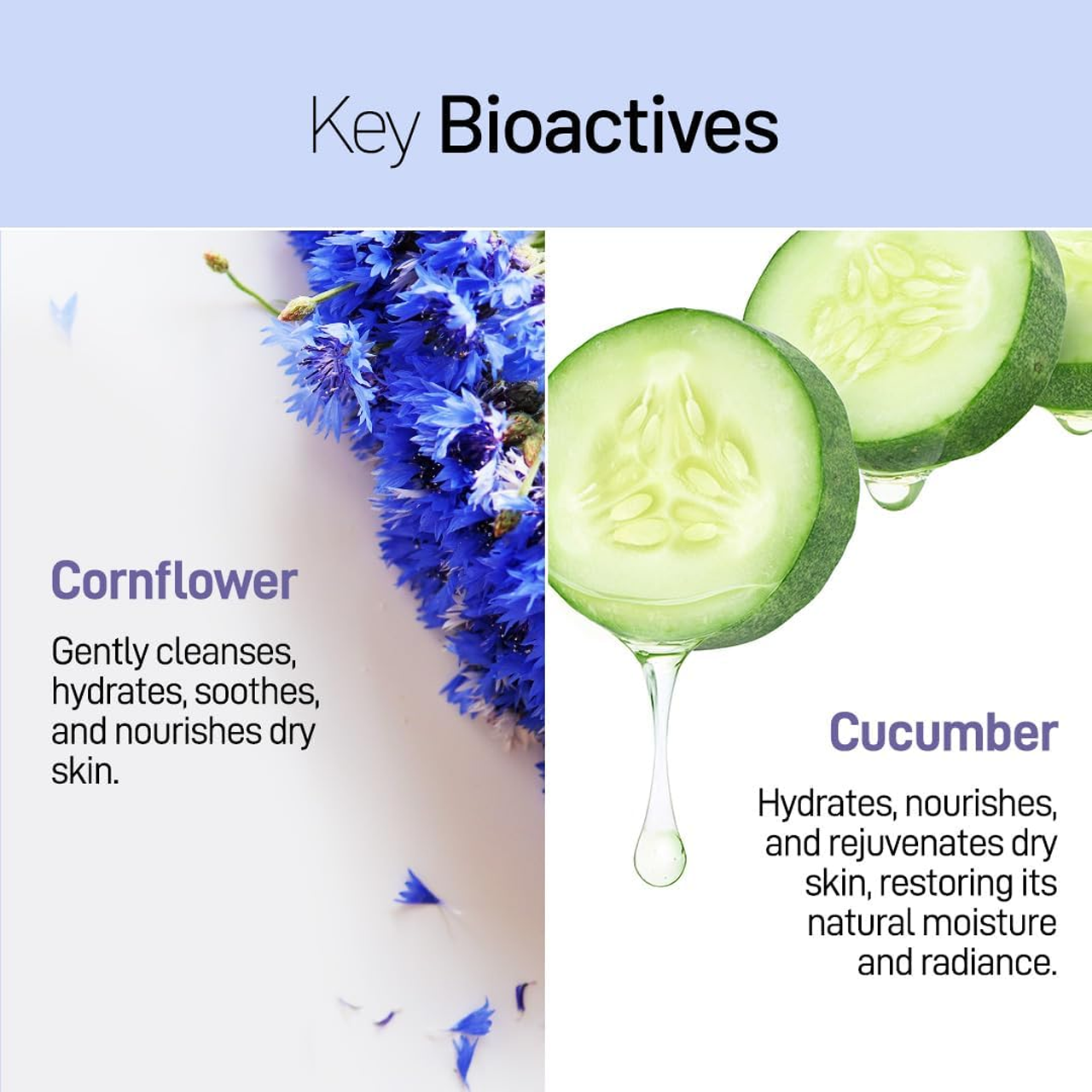 Refresh Botanicals - Hydrating Facial Cleanser, Cornflower & Cucumber | 100 mL – image 3
