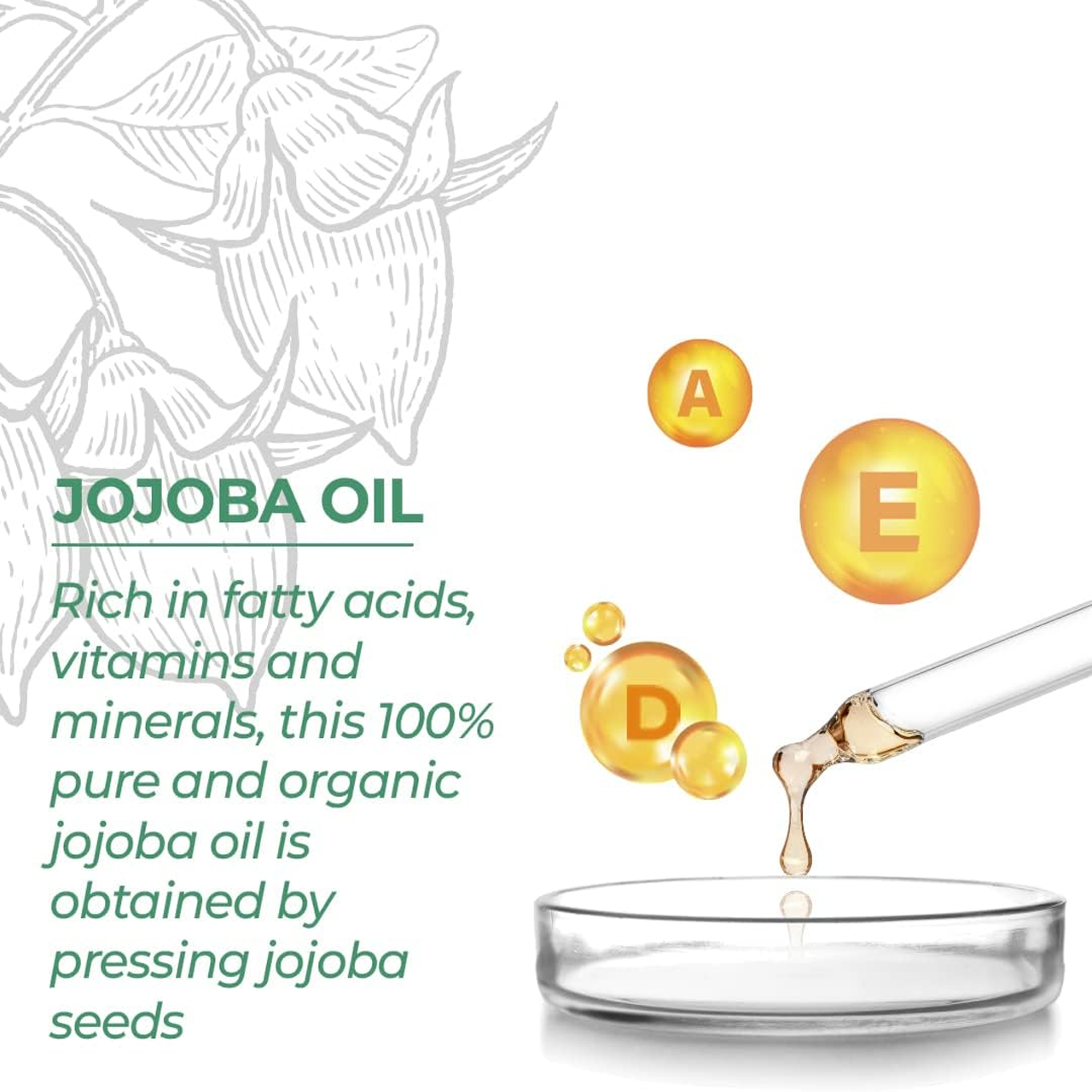 Refresh Botanicals - Certified Organic & Cold Pressed Jojoba Oil | 90 mL – image 3