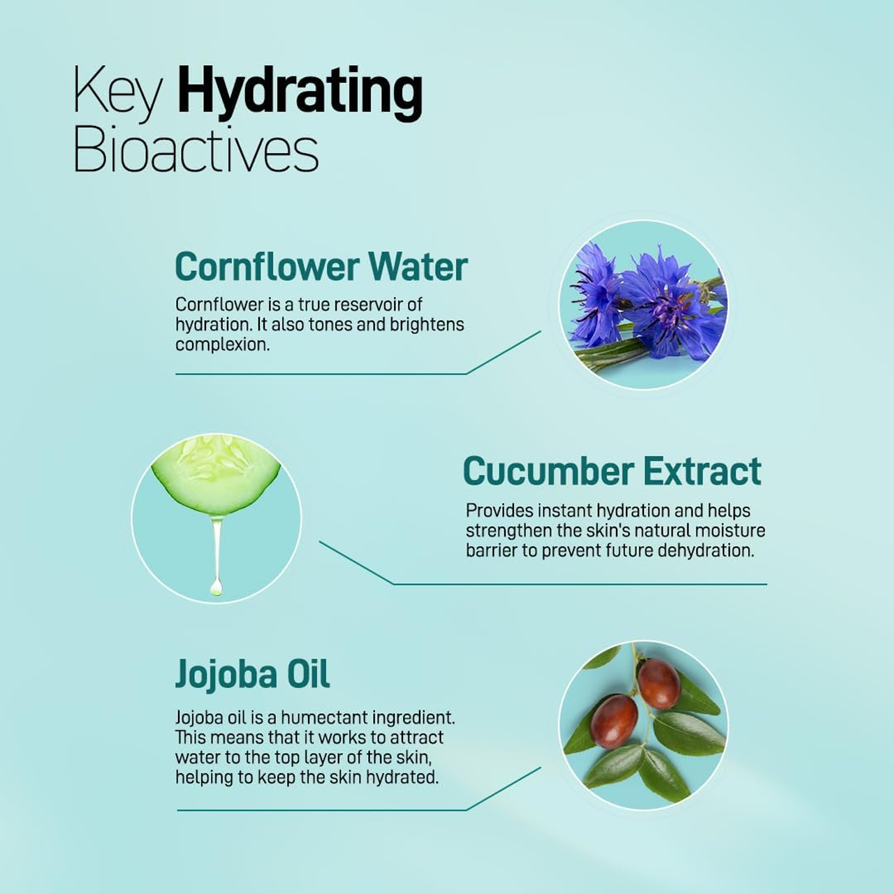 Refresh Botanicals - Fragrance Free Facial Moisturizer - Cornflower & Cucumber | 50 mL – image 5